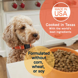 Canidae All Life Stages Lamb Meal and Brown Rice Formula Dry Dog Food
