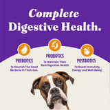 Halo Holistic Complete Digestive Health Chicken and Brown Rice Dog Food Recipe Adult Dry Dog Food
