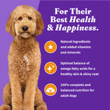 Halo Holistic Complete Digestive Health Chicken and Brown Rice Dog Food Recipe Adult Dry Dog Food