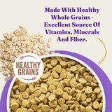 Halo Holistic Complete Digestive Health Wild-caught Salmon and Whitefish Dog Food Recipe Adult Dry Dog Food
