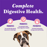 Halo Holistic Complete Digestive Health Wild-caught Salmon and Whitefish Dog Food Recipe Adult Dry Dog Food