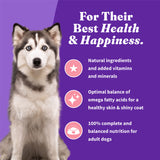 Halo Holistic Complete Digestive Health Wild-caught Salmon and Whitefish Dog Food Recipe Adult Dry Dog Food