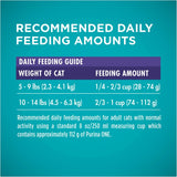 Purina ONE Advanced Nutrition Hairball Formula Dry Cat Food