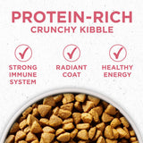 Purina ONE +Plus Skin & Coat Formula Dry Dog Food