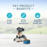 Blue Buffalo Life Protection Formula Small Breed Senior Chicken & Brown Rice Recipe Dry Dog Food