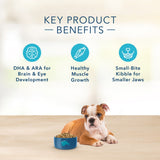 Blue Buffalo Basics Puppy Turkey & Potato Recipe Dry Dog Food
