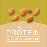 Purina Cat Chow Naturals Original Dry Cat Food