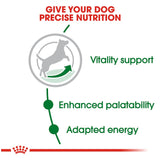 Royal Canin Size Health Nutrition Small Breed Mature 8+ Dry Dog Food