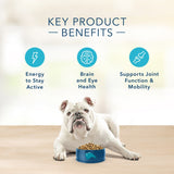 Blue Buffalo Basics Senior Skin & Stomach Care Turkey & Potato Recipe Dry Dog Food