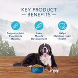 Blue Buffalo Wilderness Rocky Mountain Grain Free Red Meat High Protein Recipe Large Breed Adult Dry Dog Food