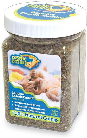 Cosmic CatNip Cup