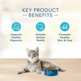 Blue Buffalo Basics Grain Free Adult Indoor Fish & Potato Recipe Dry Cat Food