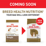 Royal Canin Breed Health Nutrition Beagle Adult Dry Dog Food