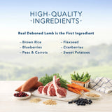 Blue Buffalo Life Protection Natural Lamb & Brown Rice Recipe Large Breed Adult Dry Dog Food