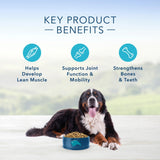 Blue Buffalo Life Protection Natural Lamb & Brown Rice Recipe Large Breed Adult Dry Dog Food