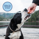 Natural Balance Limited Ingredient Jumpin Stix Chicken & Sweet Potato Formula Dog Treats