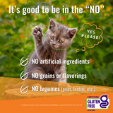 Vital Essentials Vital Cat Freeze Dried Grain Free Rabbit Bites Cat Treats
