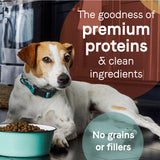 Canidae Grain Free PURE Wild Boar & Garbanzo Bean Recipe Dry Dog Food