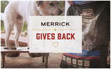 Merrick Backcountry Grain Free Chunky Lamb Canned Dog Food