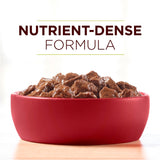 Purina ONE SmartBlend True Instinct Grain Free Chicken & Duck Tender Cuts in Gravy Canned Dog Food