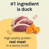 Canidae Grain Free PURE Petite Small Breed Pottage Style Dinner Minced with Duck and Pumpkin in Broth Wet Dog Food
