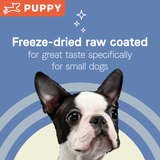Canidae PURE Petite Small Breed Puppy Salmon Recipe Raw Coated Dry Dog Food
